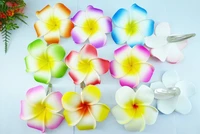 20 mixed color foam hawaiian plumeria flower frangipani flower bridal hair clip 8cm