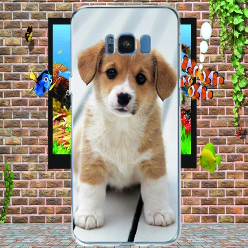 MPCQC Originality Animal Patterned Soft TPU Silicon Phone Case for Samsung Galaxy A8 2018 Plus Painted popular Cover case |