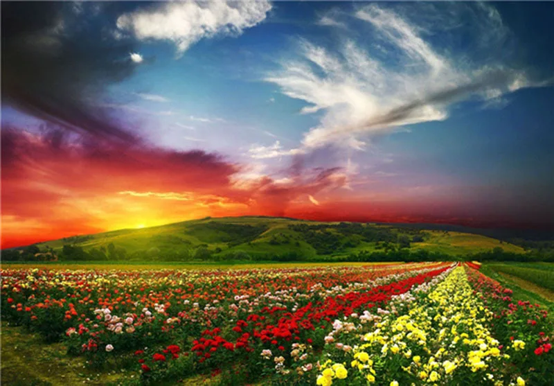 

5D Diamond Embroidery Flowers Scenery Round Diamond Painting Landscape Cross Stitch Full Square Wall Painting Christmas Gift