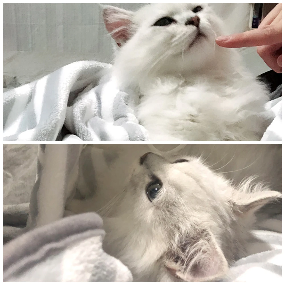 Кошка-переноска рюкзак коралловый бархат hug Cat фартук для парикмахера антипригарные волосы hug Одежда для собак удерживайте для щенка кота карманная Сумка pet carrier