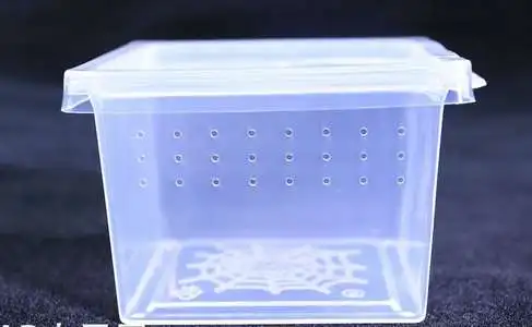 Маленький черный дом Ar коробка для разведения птиц микро-личинки насекомых