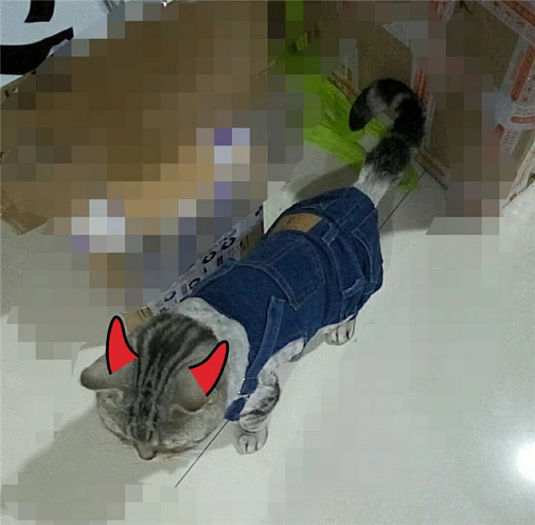 Маленькая одежда для кошек, костюм для котят, одежда для домашних животных, одежда для собак, кошек, одежда для каттена, kleding, katten, animaux de compagnie