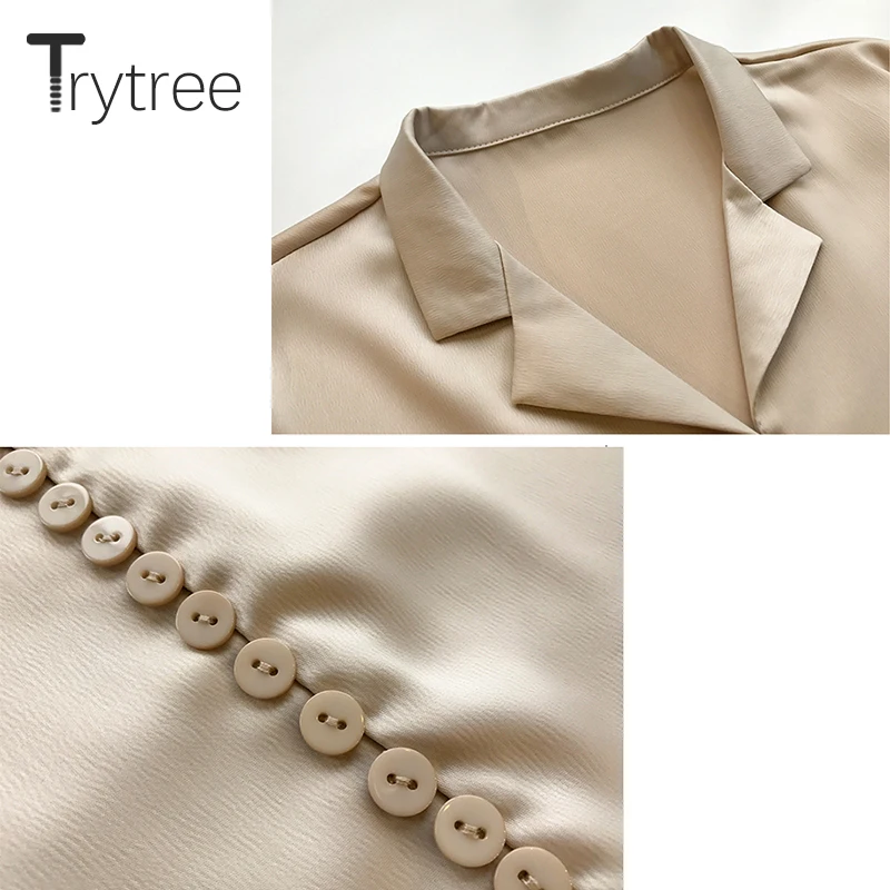 Ttytree, весенне-летние блузки, Повседневная рубашка для женщин, полиэстер, для офиса, леди, полный рукав, пуговицы, однотонный, с отложным воротником, топы, рубашки