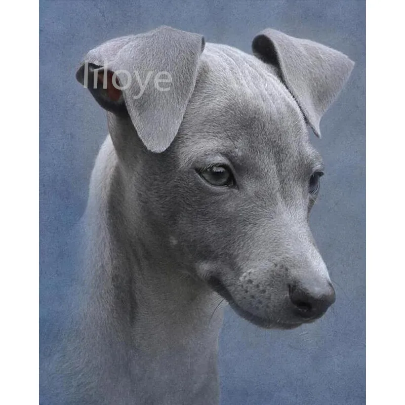 Алмазная вышивка с изображением собак greyhound мозаика сделай сам полноразмерная