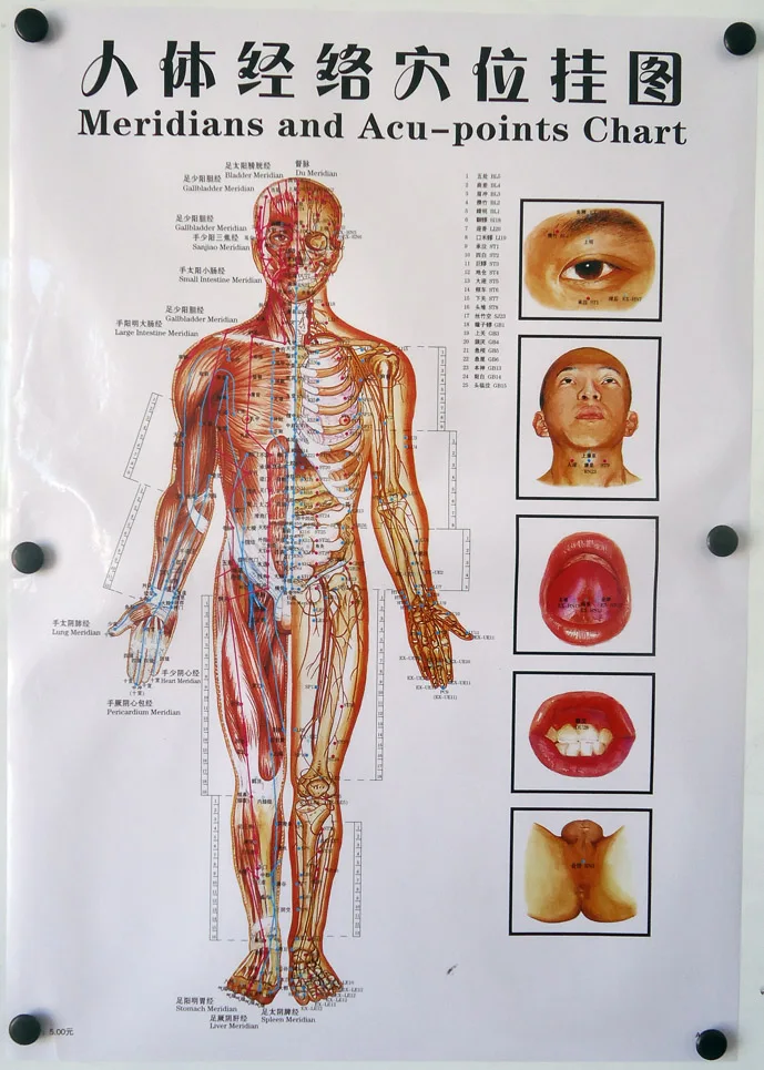 Меридианная акупунктурная точка человека 3 шт./компл. медицинский массаж карта