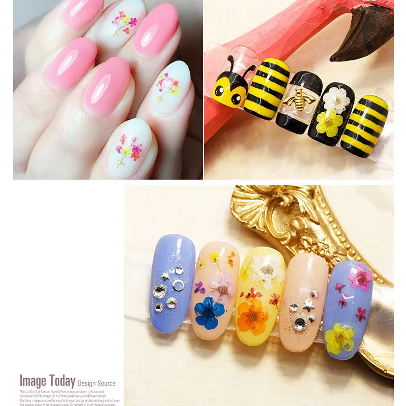 1 коробка 24 шт. реальных ногтей маленький Нарцисс сухоцветов Nail Книги по искусству украшения DIY Советы маленькие цветы Гвозди Наклейки для маникюрные инструменты