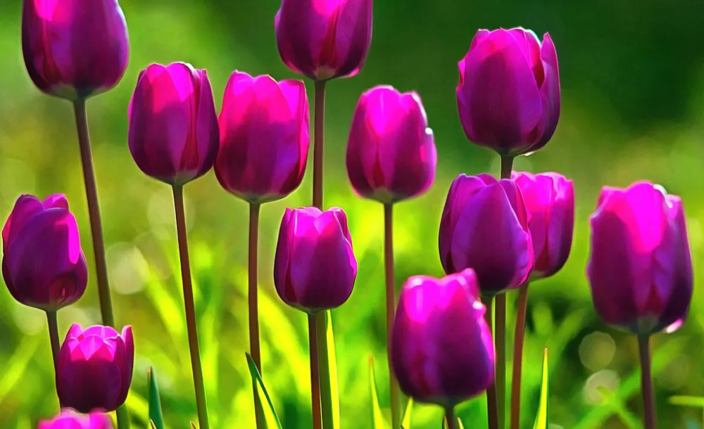 Роскошные затемненные 3D шторы для гостиной постельные принадлежности офисные