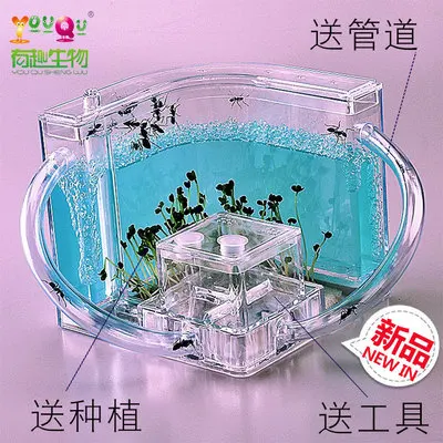 3D ANT ферма вилла домашней мастерской 0 5 кг 120*120*120 мм|Террариумы| |