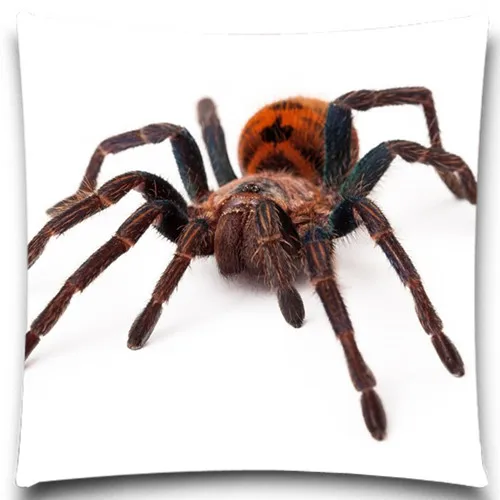 Квадратные наволочки в виде паука серые/красные/оранжевые насекомых синие и