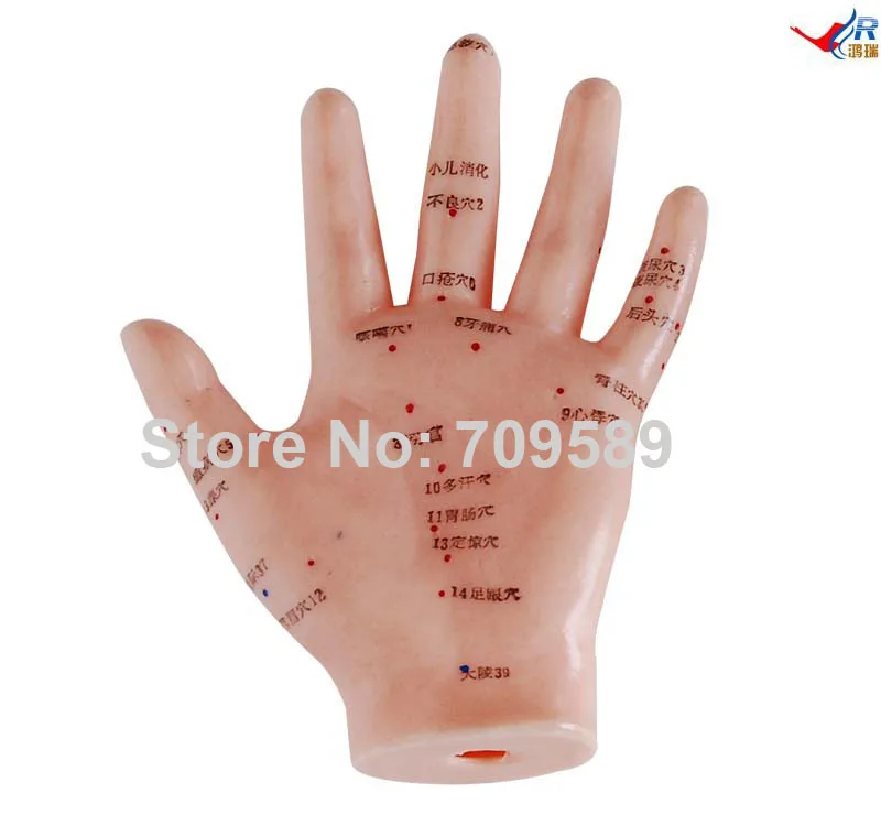 Акупунктура для рук 13 см. рук|acupuncture model|acupuncture handhand model |