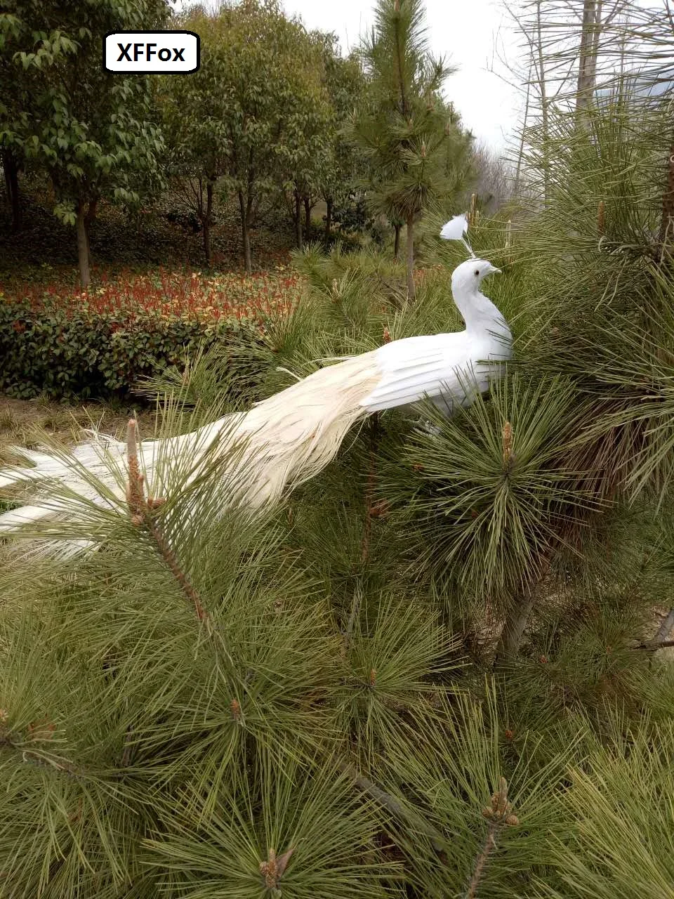 white real life peacock model foam&feather simulation beautiful bird gift about 80cm xf0315 | Дом и сад