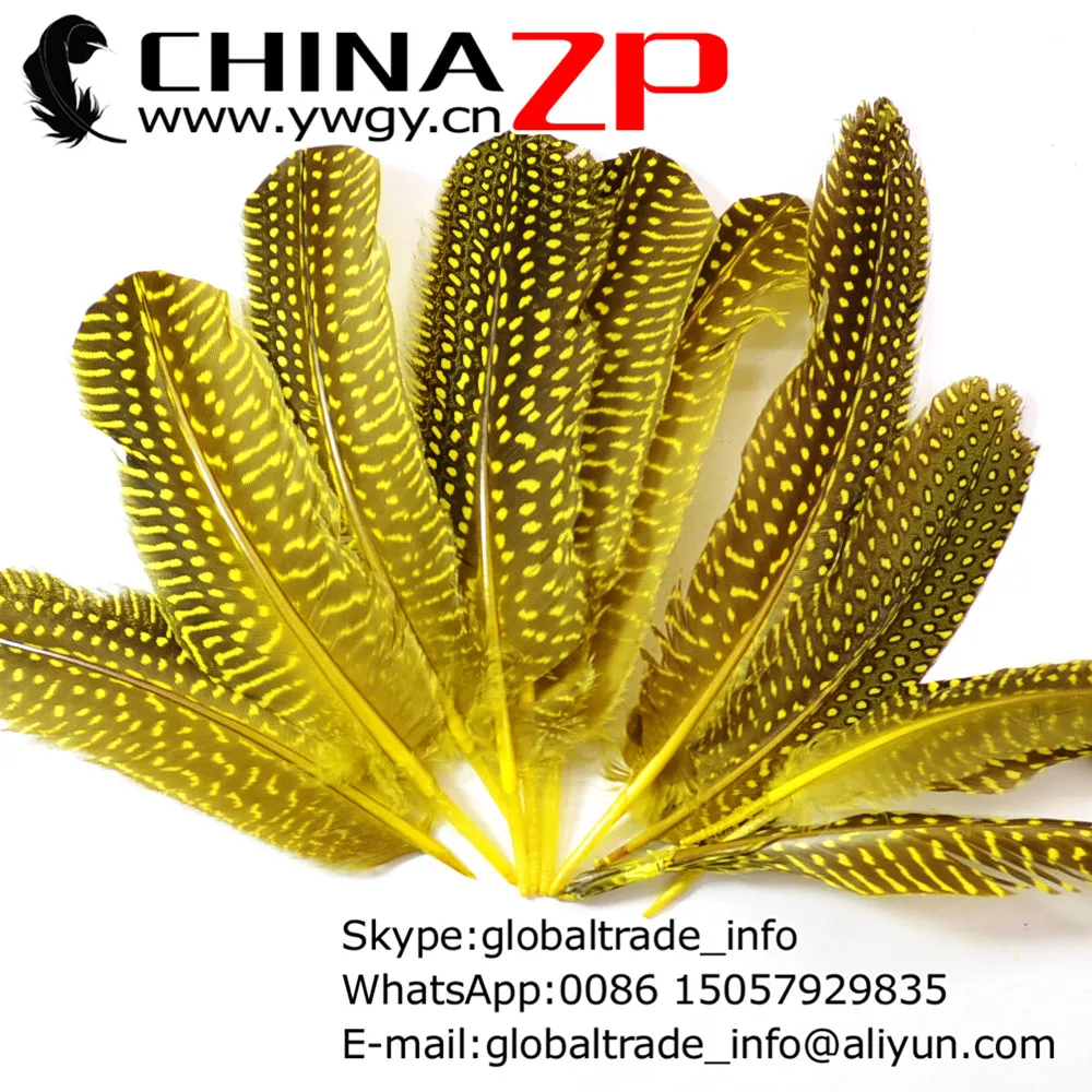 CHINAZP Factory www.ywgy.cn Длина 15-20 см 200 шт./лот горошек окрашенные ярко-желтые перья для