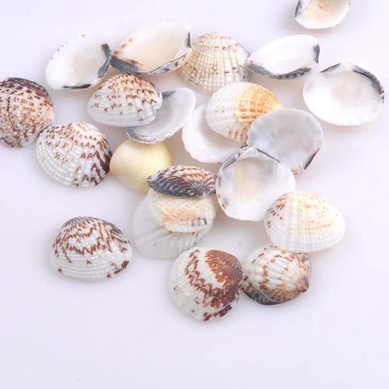 Спиральные бусины из морских ракушек 20 шт. 25 32 мм TRS0127|beads for jewelry|beads beadsbeads loose |