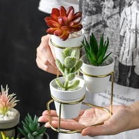 mini 3 in 1 pottery planters modern small flower pots with gold black metal stands decorative tabletop ornaments home decoration