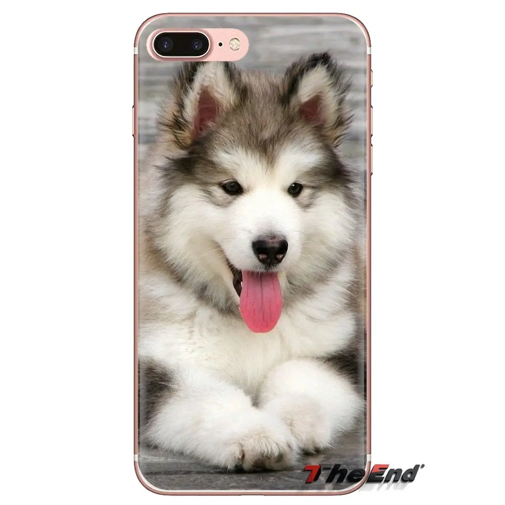Мягкие чехлы для собак Alaskan Malamute Siberian husky Xiaomi Mi3 Samsung A10 A30 A40 A50 A60 A70 Galaxy S2 Note 2 Grand Core