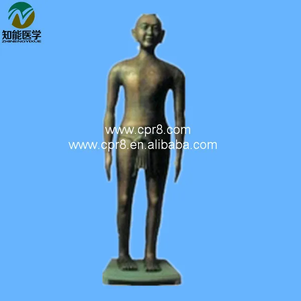 Китайская акупунктурная модель (акупунктурный маникин) Φ WBW198|acupuncture model|acupuncture
