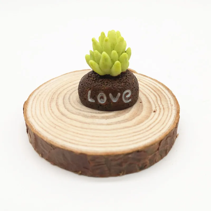 4 шт. суккуленты Цветочные растения мини бонсай миниатюрный Сказочный Сад