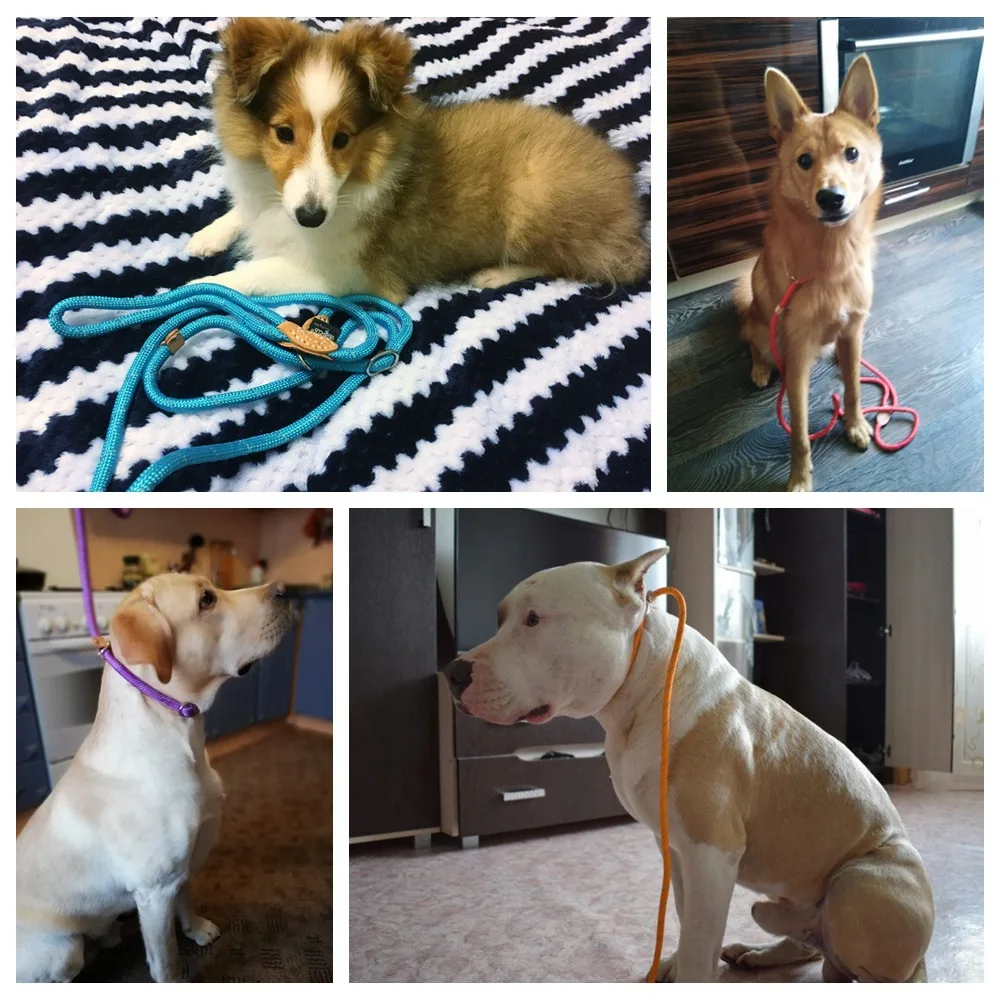 Светоотражающий Поводок для собак поводок кошек щенков поводков маленьких