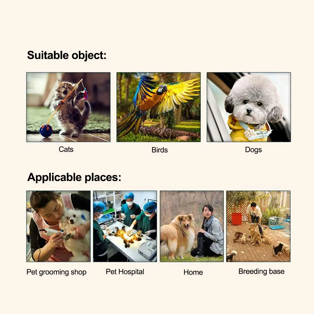 Новинка 2019 профессиональный стиптический порошок грумеров для домашних