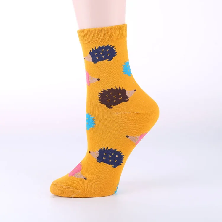 OLN новые модные Kawaii женские носки Hedgeh с животными Лот 5 пар Harajuku носки с героями мультфильмов для корейских рождественских подарков - Цвет: 3