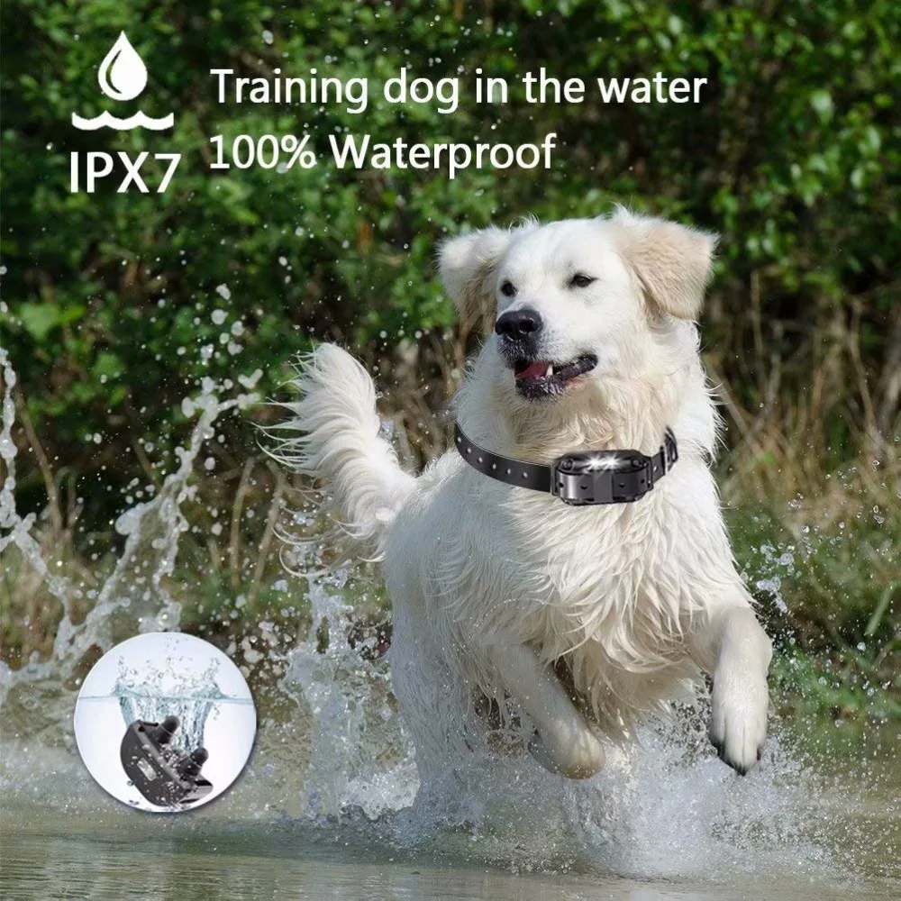 800 м водонепроницаемый перезаряжаемый пульт дистанционного управления собачий