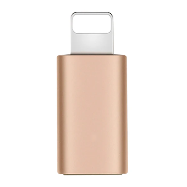 ACCEZZ Micro USB для освещения для Apple адаптеры для iPhone X XS XR 6 7 5 Plus портативный OTG Зарядное устройство синхронизации мини конвертер для ipad - Цвет: Золотой