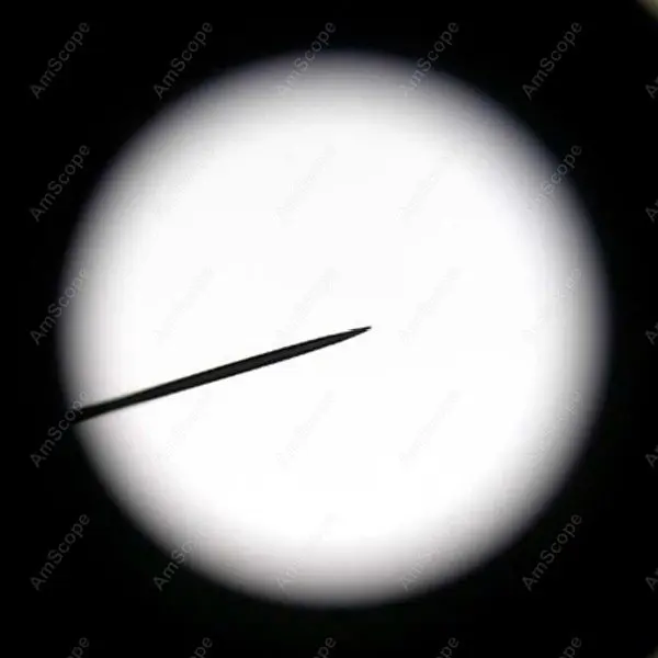 Микроскоп окуляр AmScope поставки WF10X микроскопа с указкой (23 мм)|microscope glass|eyepiece