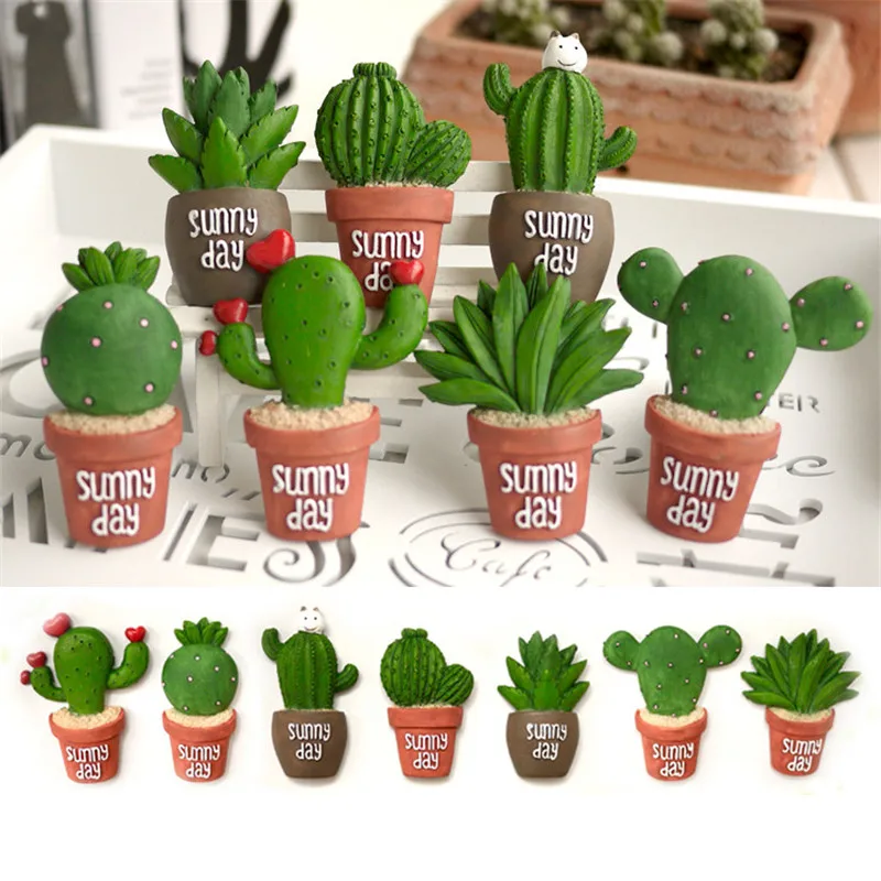 Бесплатная доставка высококачественные милые кактусы солнечные суккуленты