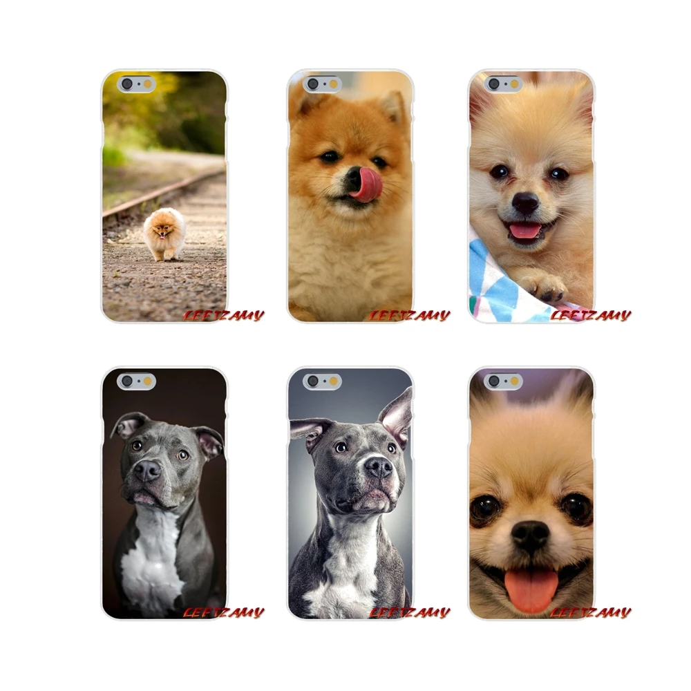 Аксессуары для телефона Чехлы iPhone X 4 4S 5 5S 5C SE 6 6S 7 8 Plus синий нос Pitbull Pomeranian DOG |
