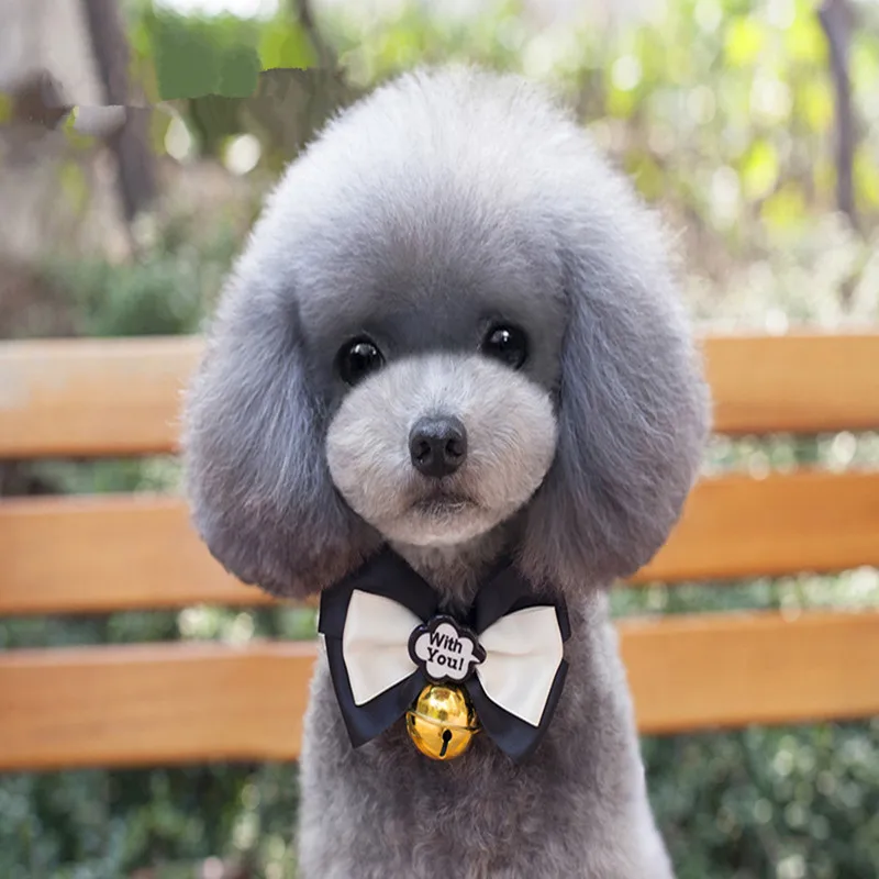 Новинка 2017 года искусственная кожа ошейник Открытый негабаритных колокола Pet