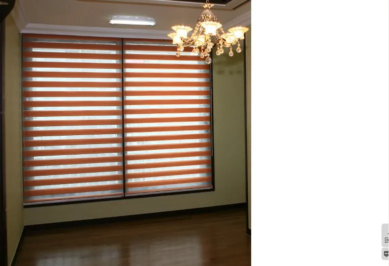 Popular zebra blinds/double-layer roller blinds/ready made curtain/curtain fabric curtain window curtain
