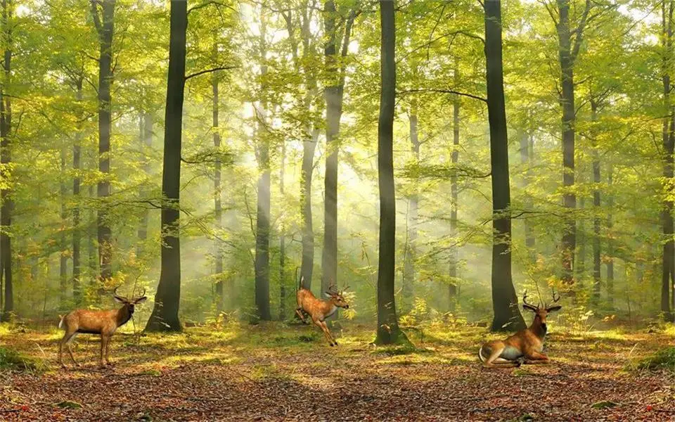 Настенные 3D-обои для комнат фото на заказ с изображением норвежского леса и лося