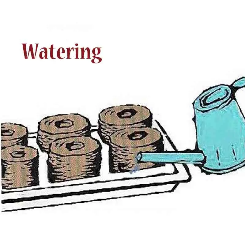 Торфяные гранулы семян саженцы блок почвы гидропоники Системы расти пропагатора сад-инструменты Карликовые деревья Садово-огородные инструменты растений сумка Детская