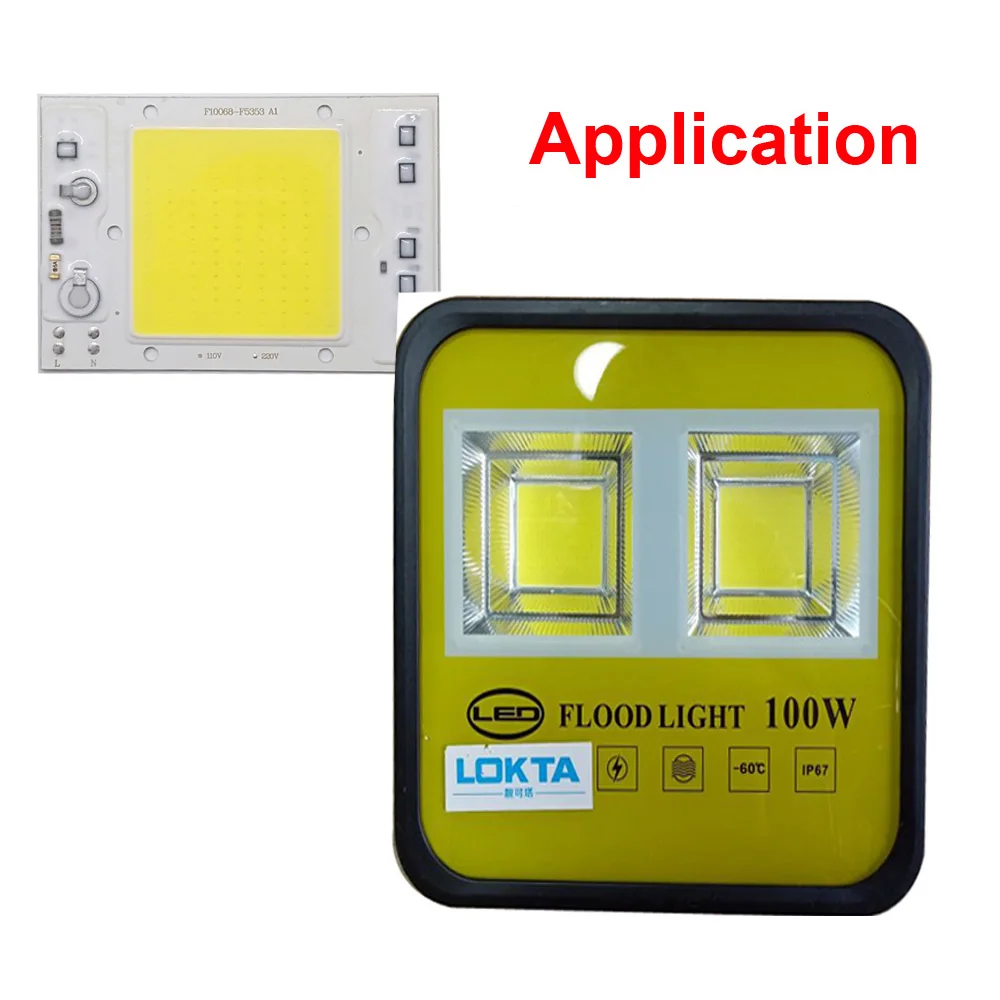5 шт./лот светодиодный чип COB 30 Вт 40 50 220 в 110 В анти скачковый дизайн Smart IC Light High Lumen