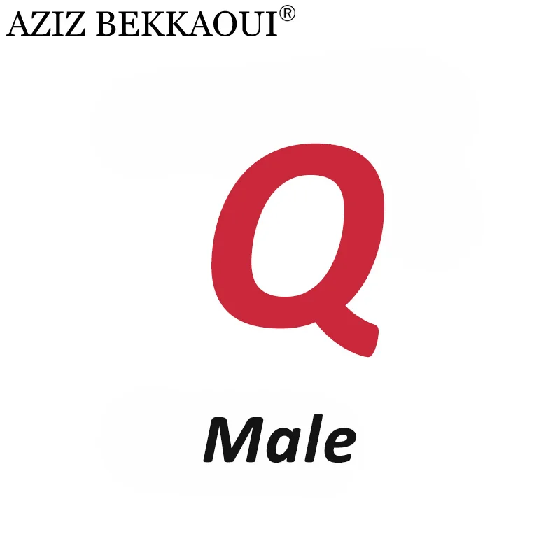 Male Q AZIZ BEKKAOUI DIY обслуживание на заказ специальный зимний подарок для друзей, любимых подарок на день Святого Валентина Прямая поставка 3040-49 - Окраска металла: Male Q