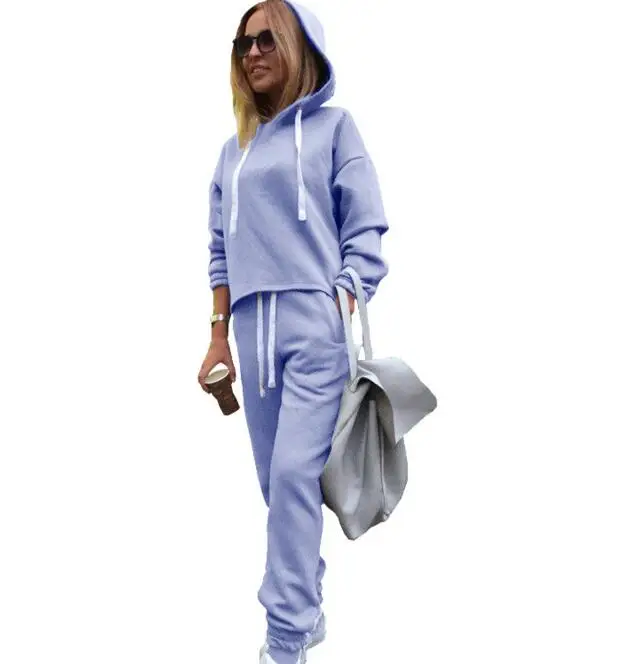 2Pcs Blue 8059 Женский костюм, спортивный костюм, женский комплект из 2 предметов, утепленный свитер с капюшоном+ штаны, женский осенний спортивный костюм, комплект - Цвет: 2Pcs Blue 8059