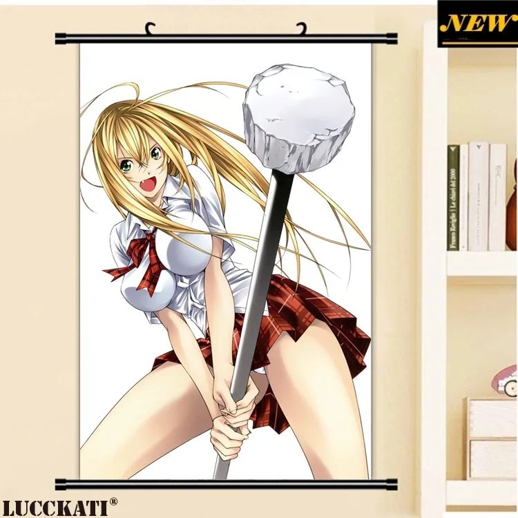 40X60 см Ikkitousen battale Vixens Shiozaki Yuji серия квитанция мультфильм аниме Настенная картина