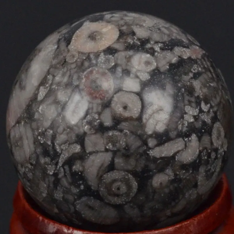 Free Shipping Natural Gemstone 29MM Crinoid Fossil Jasper Sphere Crystal Ball Chakra Healing Reiki Carving Crafts  With Stand