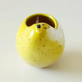 Горшок для суккулентов персонализированный горшок офисного дома балкона