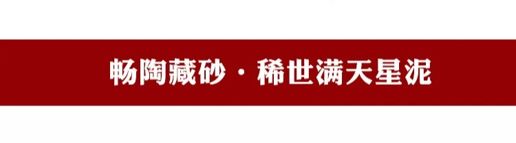 Yixing TaoJian рекомендуется чистый ручной разделенный Рудный домашний костюм по всему небу звезда грязи xi shi горшок