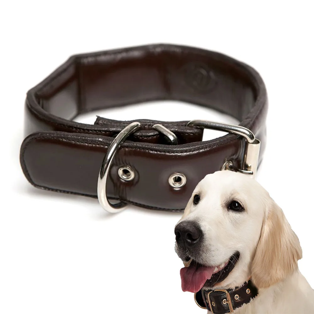 Беспроводной зарядки Скрытая pet gps трекер с воротником без sim карты IPX7 Высокое