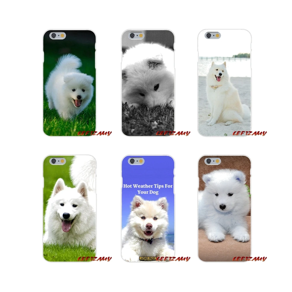 Милые белые Samoyed Щенячий патруль аксессуары для домашних животных чехлы