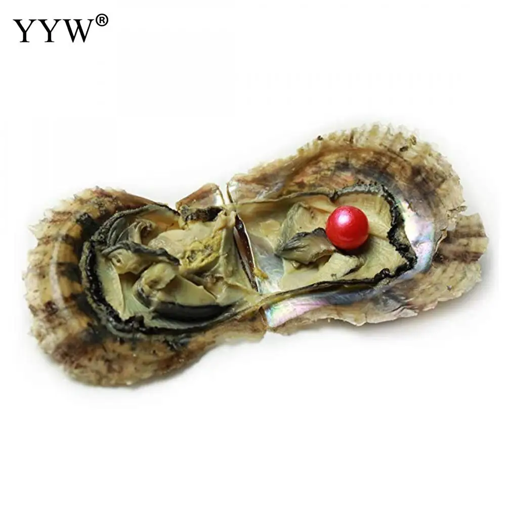 YYW 5 шт./лот высокое качество Akoya культивированный морской жемчуг Oyster бусины