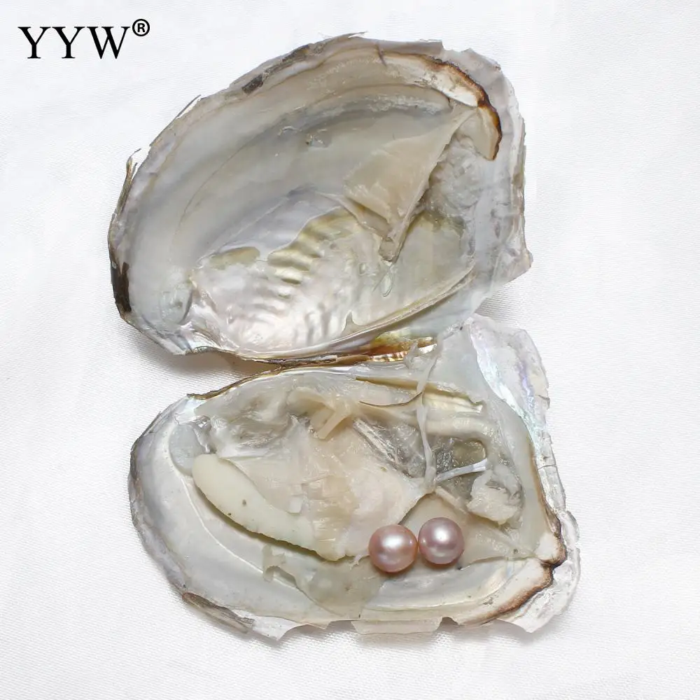 АААА сорт Пресноводный Культивированный Жемчуг Love Wish Oyster пресноводный жемчуг Близнецы Wish жемчуг Oyster 7-8 мм Одна Устрица - Цвет: 4