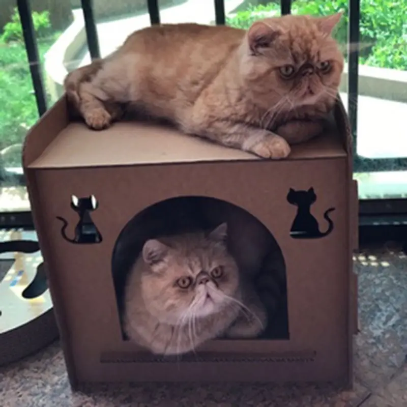 Кошка Когтеточка котенок кошка домик-образное гнездо спальная кровать лапа шлифовальные жевательные игрушки