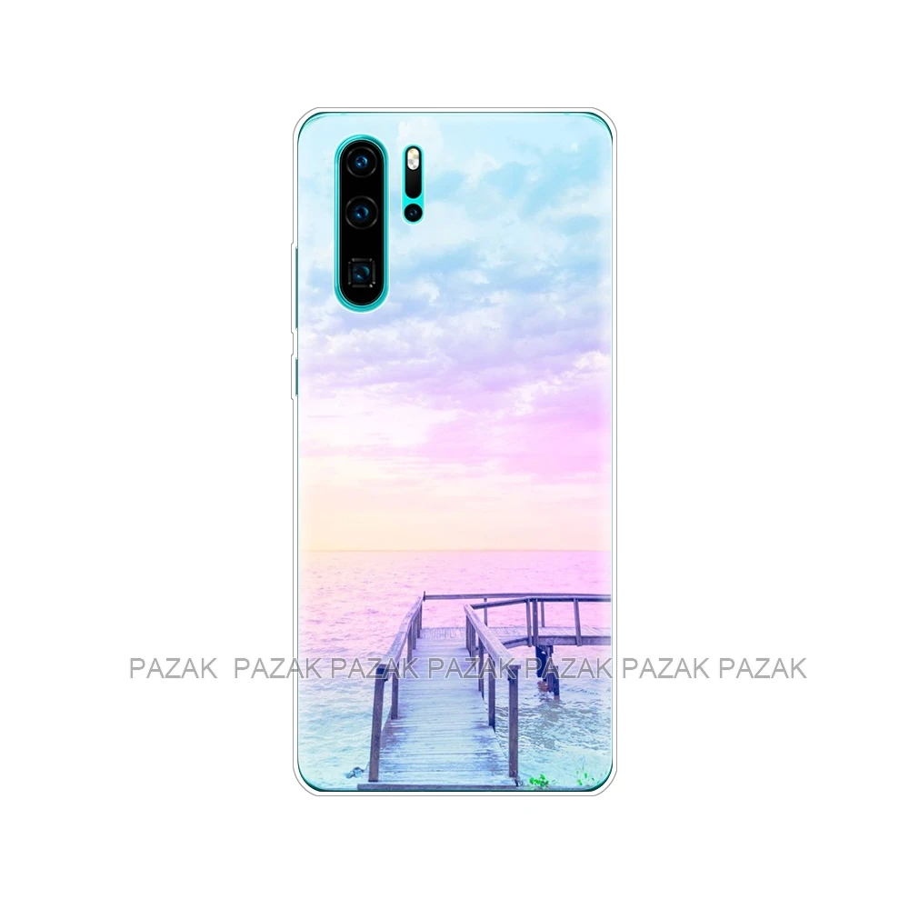 Чехол для huawei P30 Pro Чехол huawei P30Pro силиконовый чехол ТПУ задняя крышка для телефона на huawei P30 Pro VOG-L29 ELE-L29 P 30 Lite чехол - Цвет: 10647