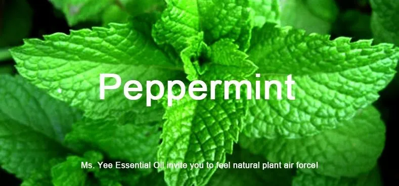Масло мяты перечной чистое и натуральное Премиум Mentha ароматерапия эфирное масло мяты лучший свежий аромат для дома и работы отпугивает мышей