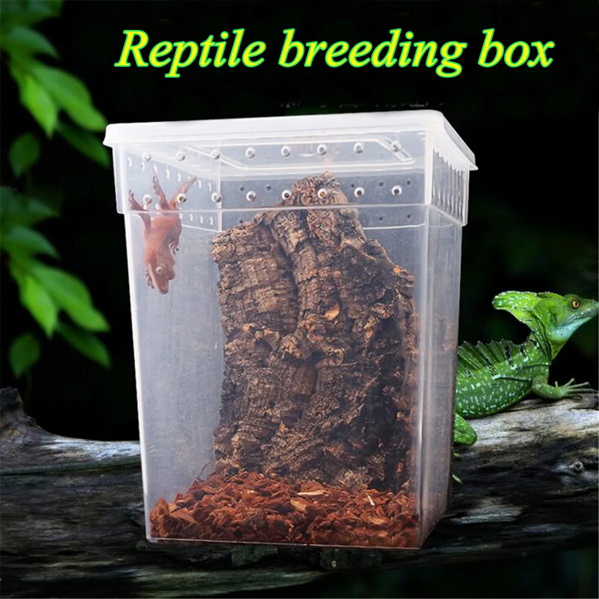 Прозрачный резервуар для кормления рептилий емкость террариумов насекомых