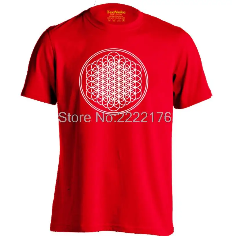 Bring me the Horizon мужские и женские персонализированные футболка Пользовательские