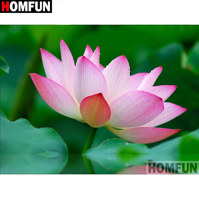 Алмазная 5d-картина HOMFUN Лотос вышивка крестиком из квадратных/круглых страз